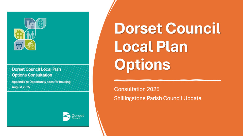 Dorset Council Local Plan Options Consultation 2025